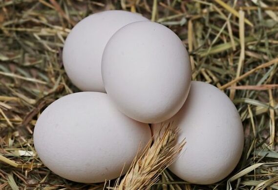 Dijeta s jajima uključuje svakodnevno jedenje kokošjih jaja. 